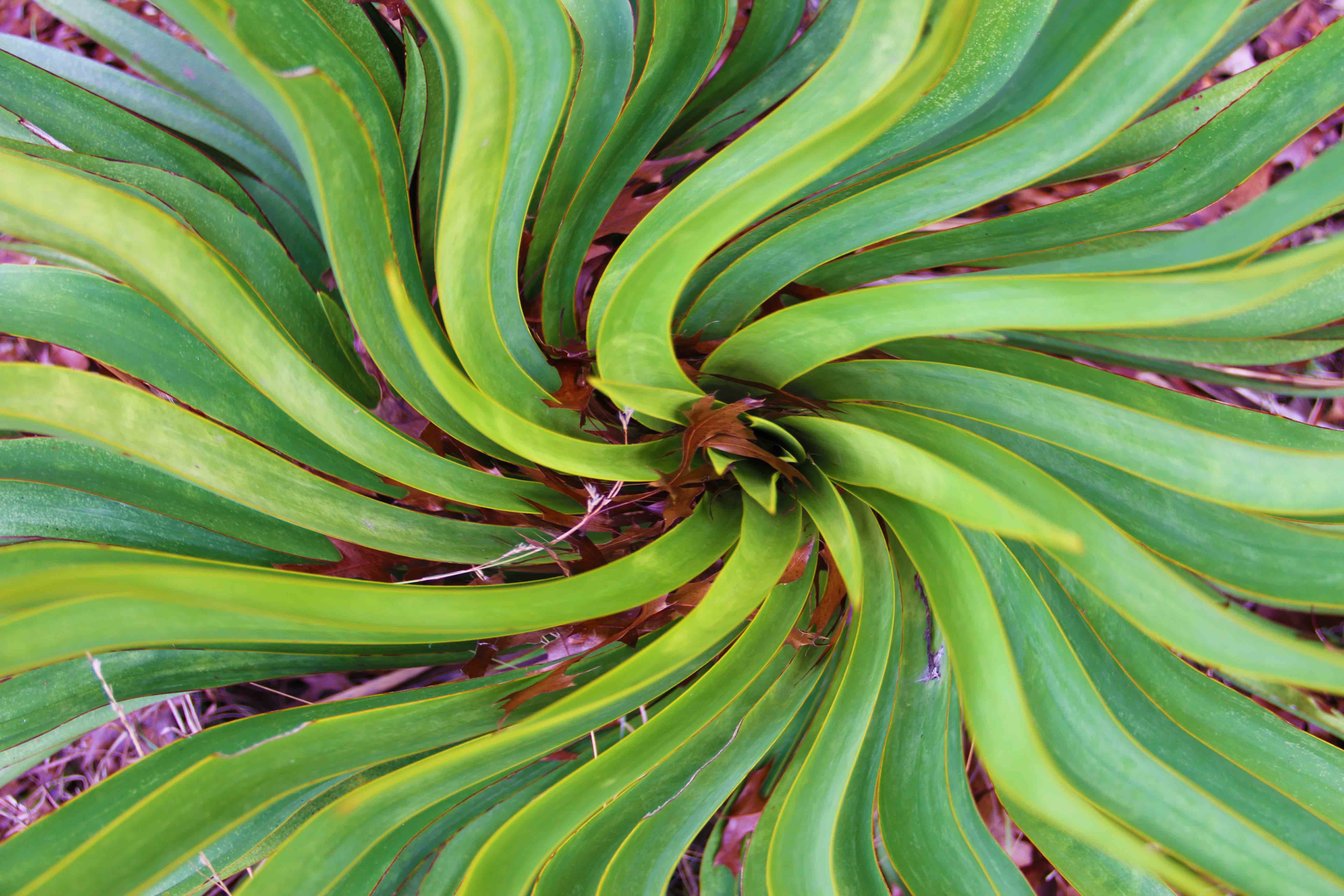 Paintings For Sale in Austin