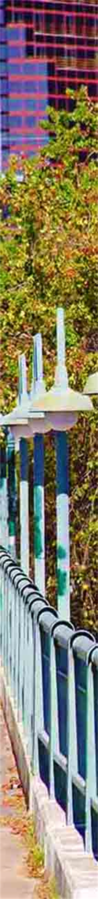 Shopping Art Prints in Austin Texas