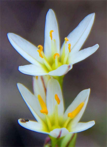 Prints and art for sale